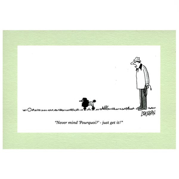 Never mind pourquoi - greeting card