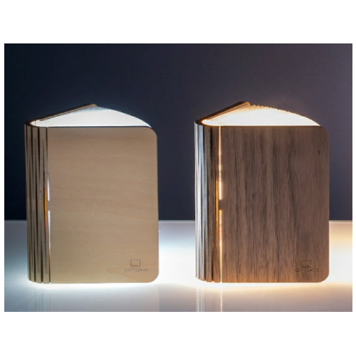 Book Light