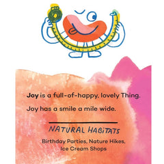 Invisible Things Feelings Flash Cards - Andy J. Pizza