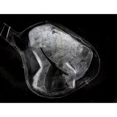 Limited Edition Print - Elephant in the Womb 2 by Cathie Pilkington 