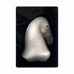 Limited Edition Print - The White Horse 1 by Cathie Pilkington