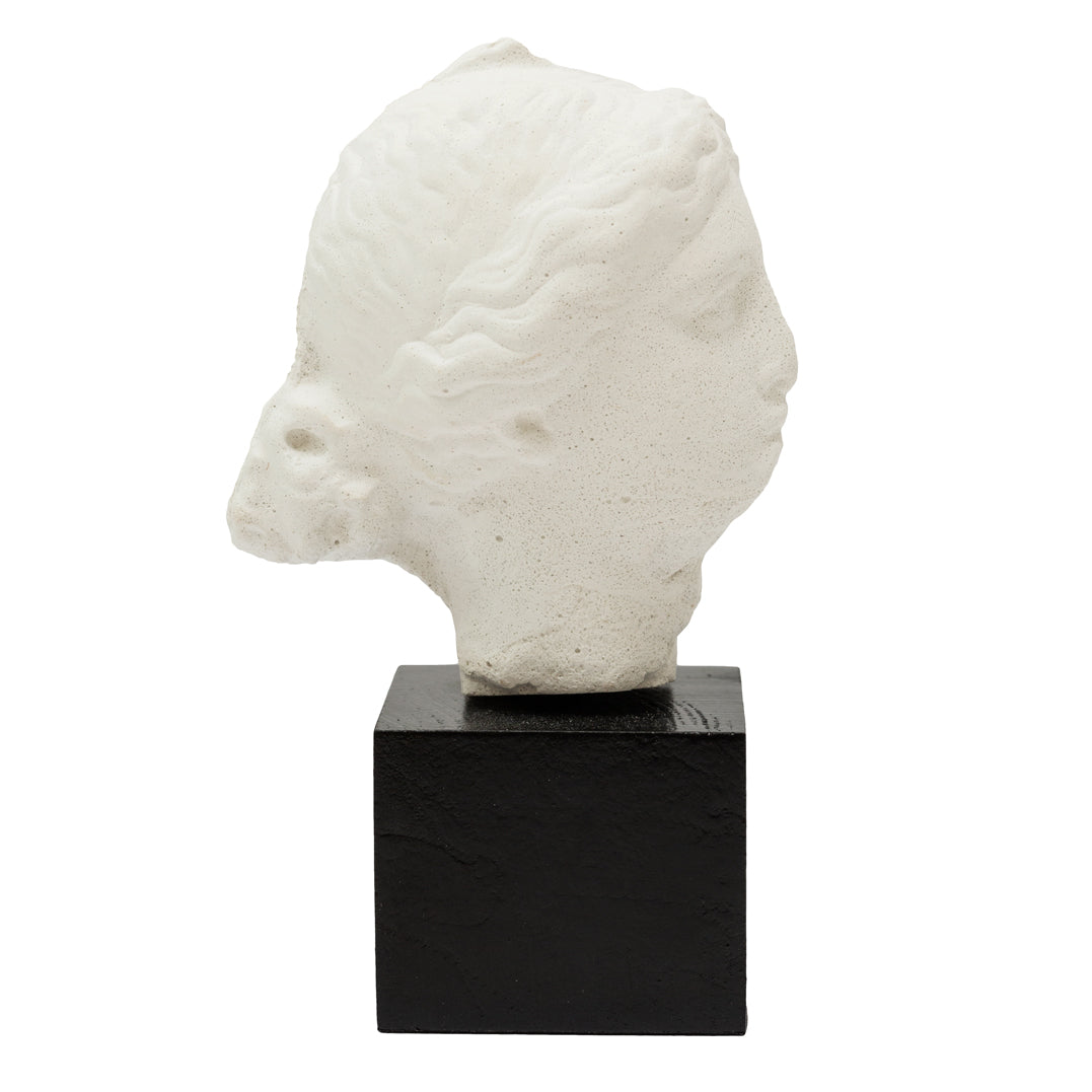 Head of a Woman - Replica of Classical Greek Marble Head by Martha Todd