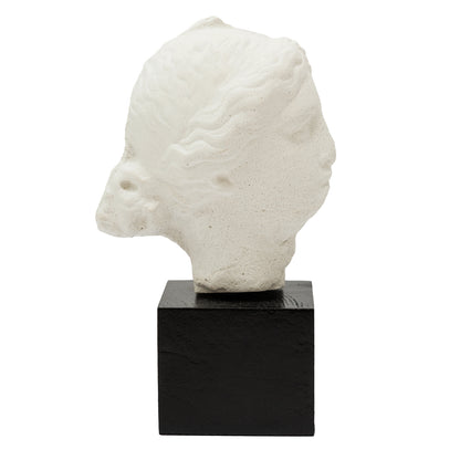 Head of a Woman - Replica of Classical Greek Marble Head by Martha Todd