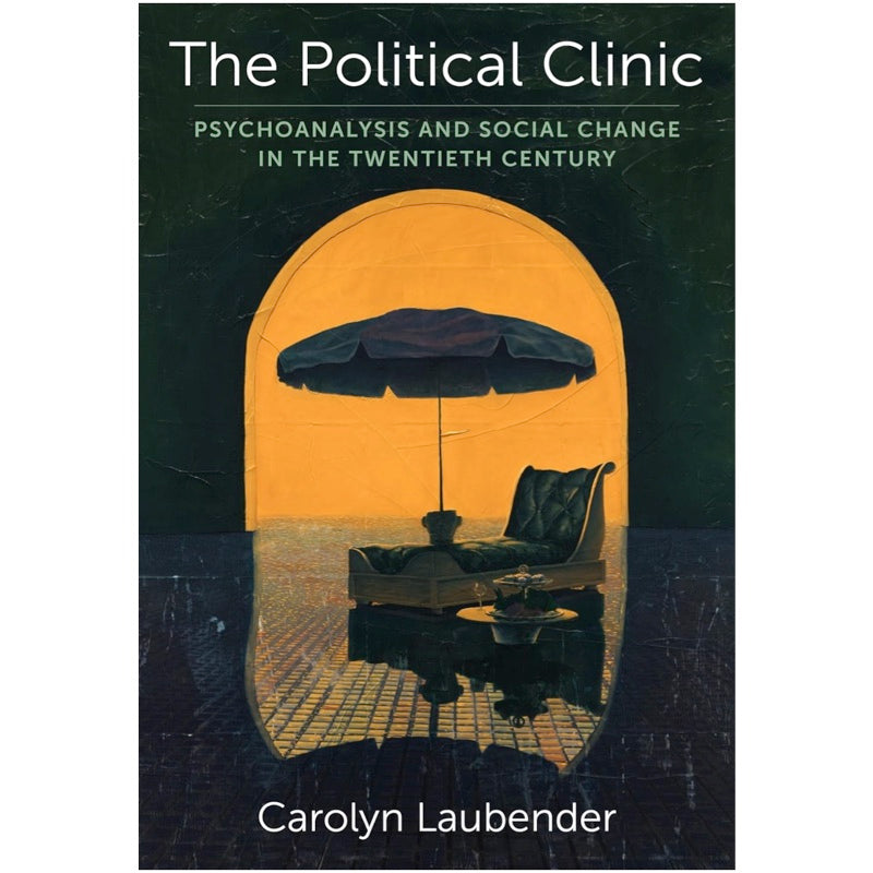 The Political Clinic: Psychoanalysis and Social Change in the Twentieth Century