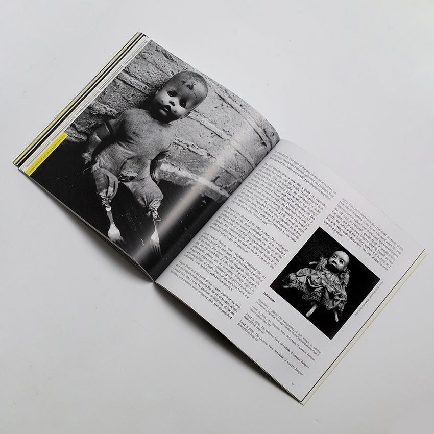 The Uncanny: A Centenary Exhibition Catalogue, Sigmund Freud, Freud Museum London