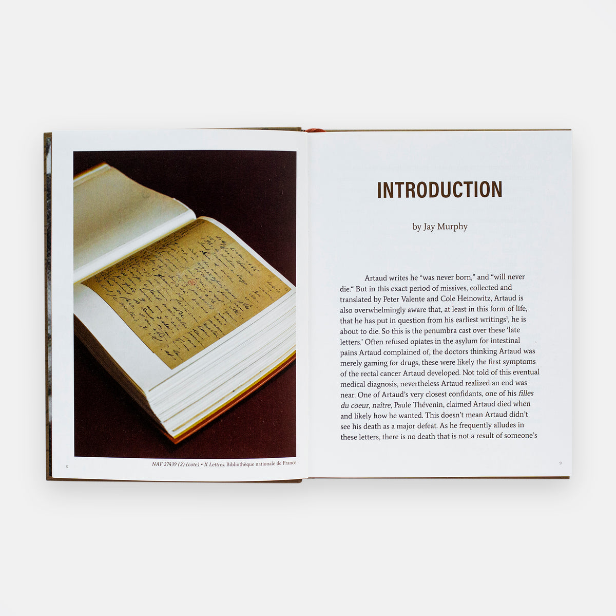 Succubations & Incubations - Antonin Artaud image of the introduction page