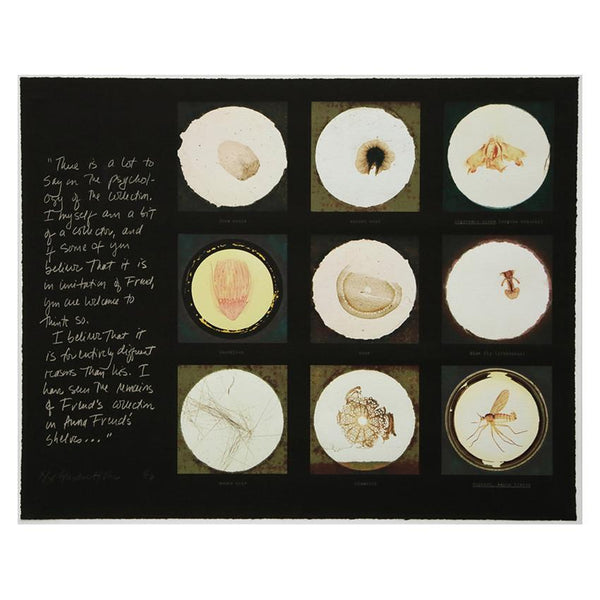 Artist's Proof: Susan Hiller - After microscope slides found in Freud's collection and a quotation from Jacques Lacan, 1996