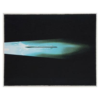 Cornelia Parker, Feather from Freud's Pillow