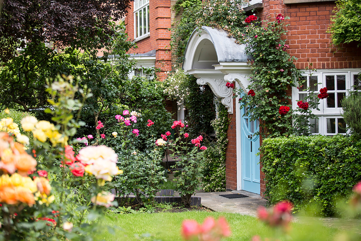 Freud Museum Shop Gift Card