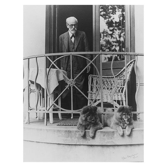 Print, Freud and chows, Fo and Tattoun