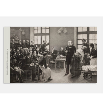Freud's Antiquity: Object, Idea, Desire Exhibition Catalogue