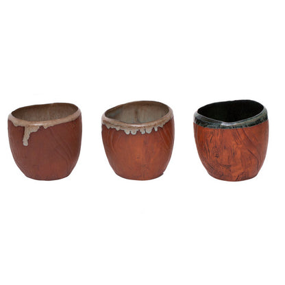 Palm Tree Plant Pot