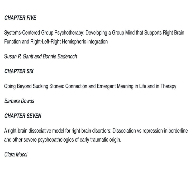 The Divided Therapist: Hemispheric Difference and Contemporary Psychotherapy - ed. Rod Tweedy