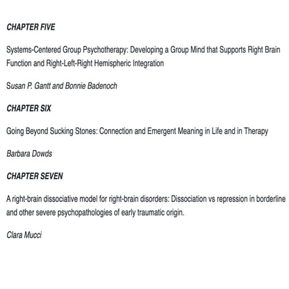 The Divided Therapist: Hemispheric Difference and Contemporary Psychotherapy - ed. Rod Tweedy