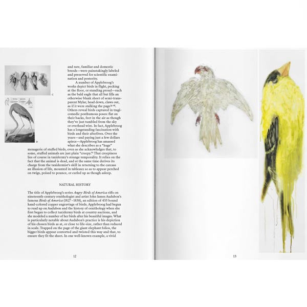 Ida Applebroog: Angry Birds of America - Jo Applin, paintings of dead birds