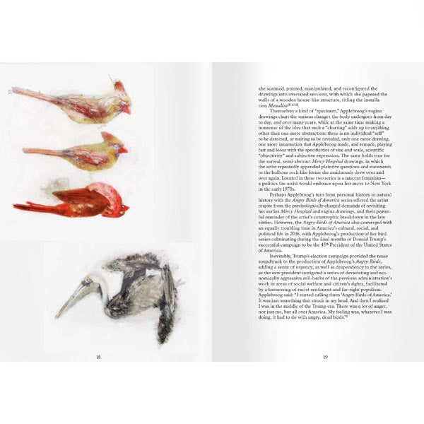 Ida Applebroog: Angry Birds of America - Jo Applin