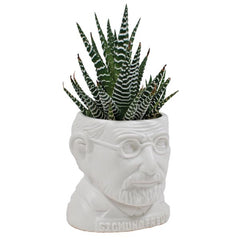Sigmund Freud sculpture as a Ceramic Planter for a mini cactus (not sold with cactus)